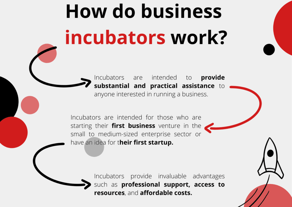 Futurum Technology | How do business incubators work?