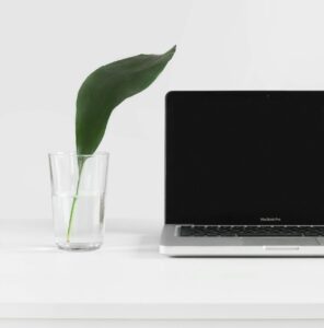 Futurum TechnologySustainable Tech: Green Coding for Startups|Blog