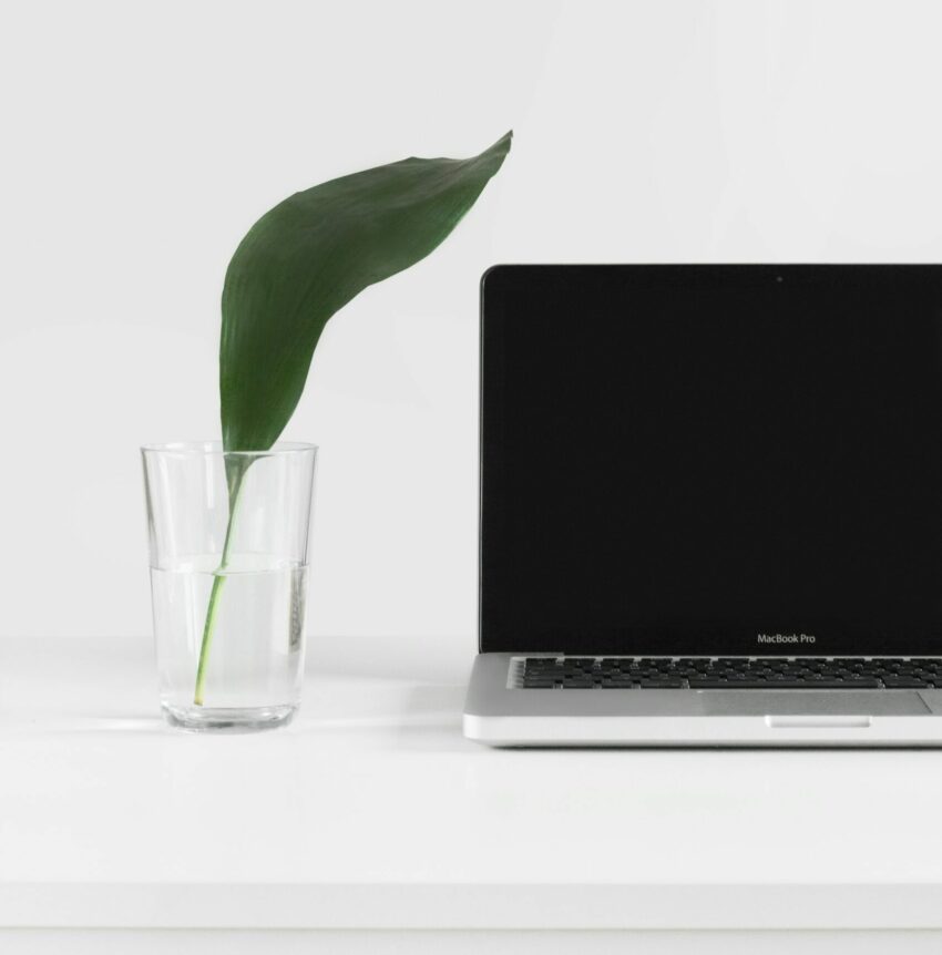 Futurum Technology | Green Coding die Zukunft von Startups